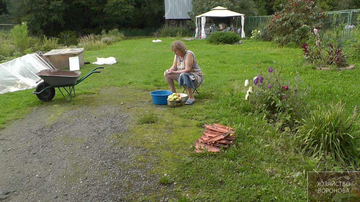 нарезка яблок