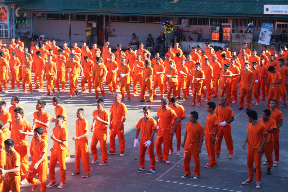 Фрагмент выступления