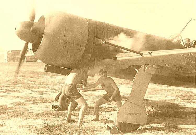 IAR 81, фото из открытых источников