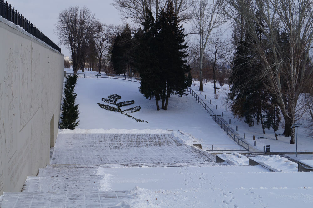 Еще недавно ветвь выглядела так