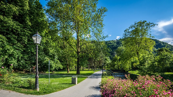 Схематичное изображение связи мозга и щитовидной железы