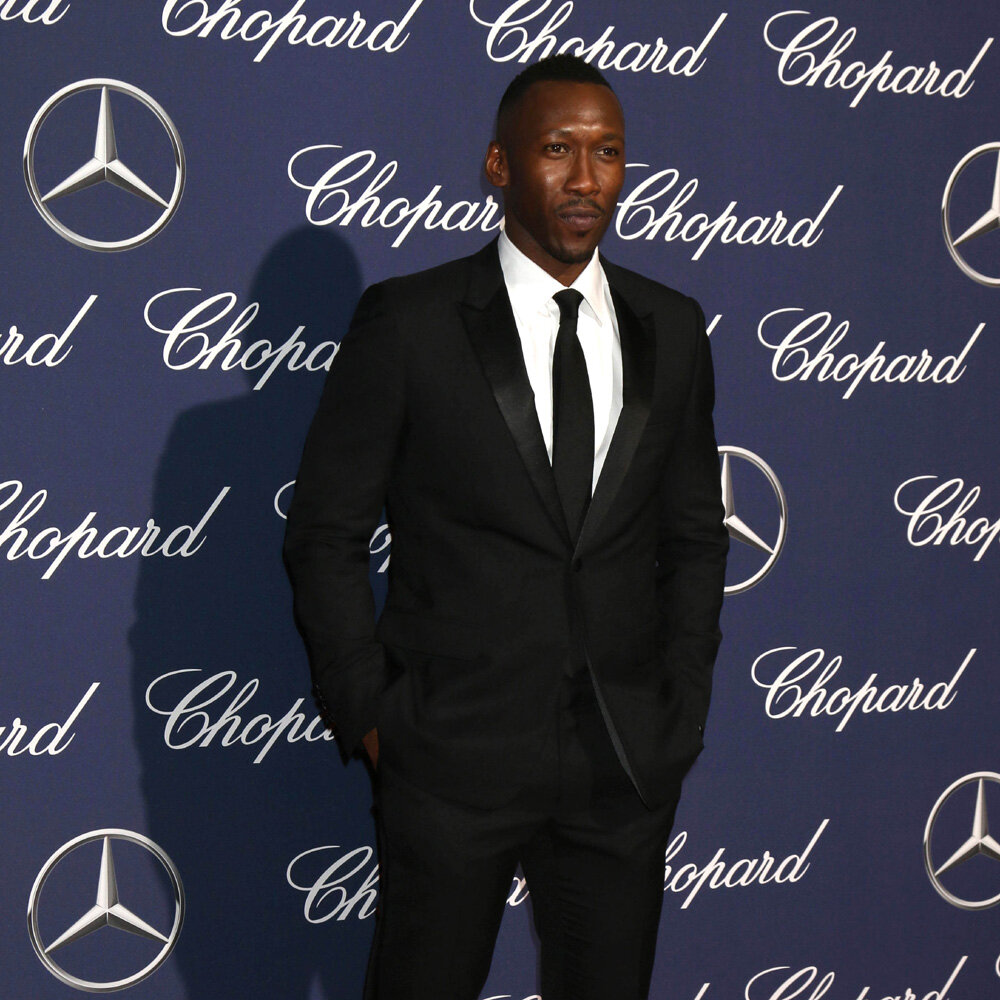 Махершала Али (Mahershala Ali) / © s_bukley / Depositphotos