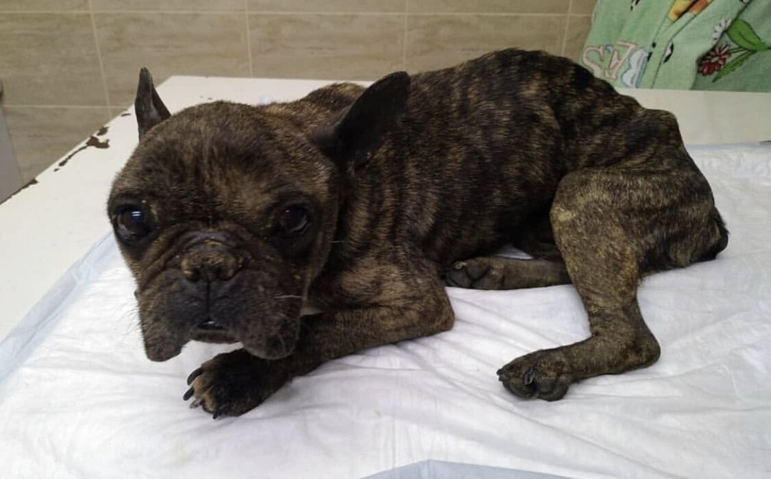 А глаза то, глаза, до сих пор верят людям