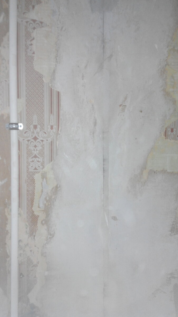 Источник: фото автора