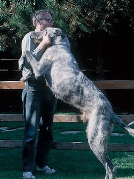 Фото взято из открытого источника.