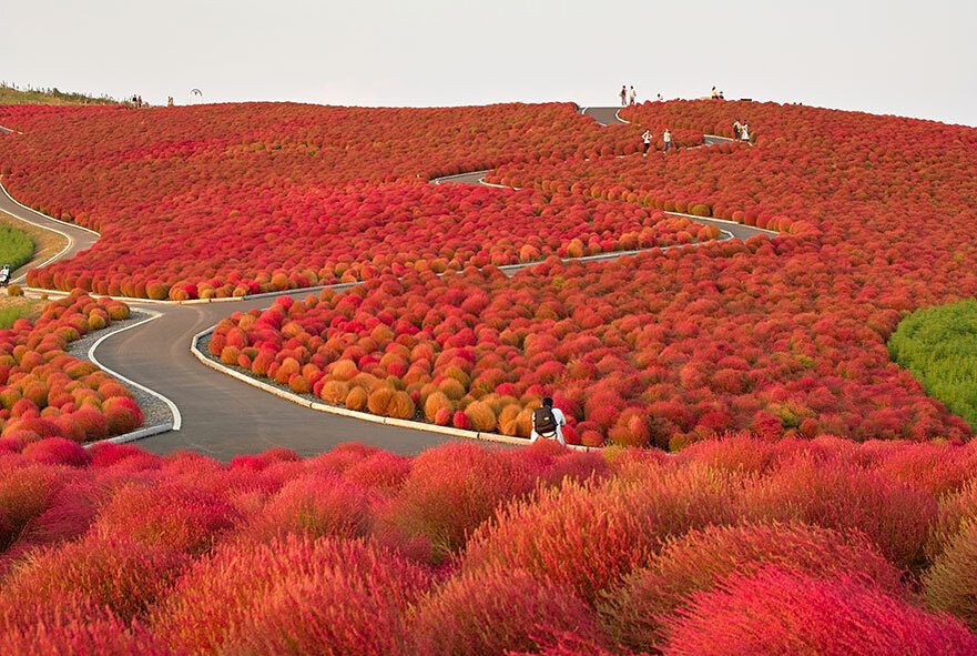 Национальный парк Никко - Тотиги - Japan Travel