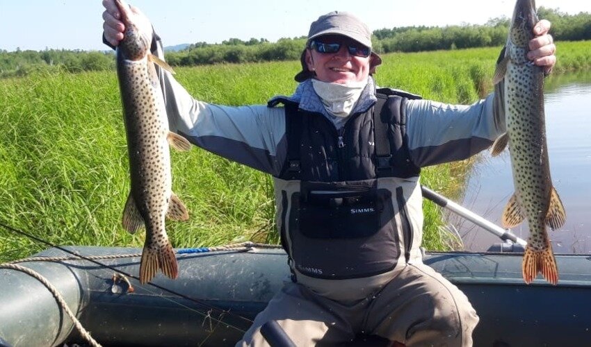 Юрий Филинов, авто песни