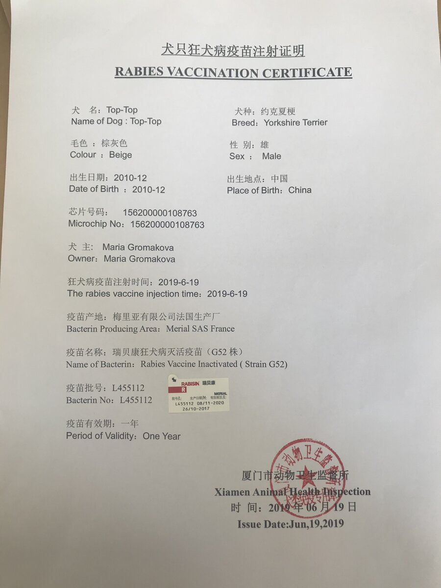 Так выглядит бумага, которую выдают в официальной ветклинике. С нею вам предстоит ехать в таможенный департамент за следующим сертификатом