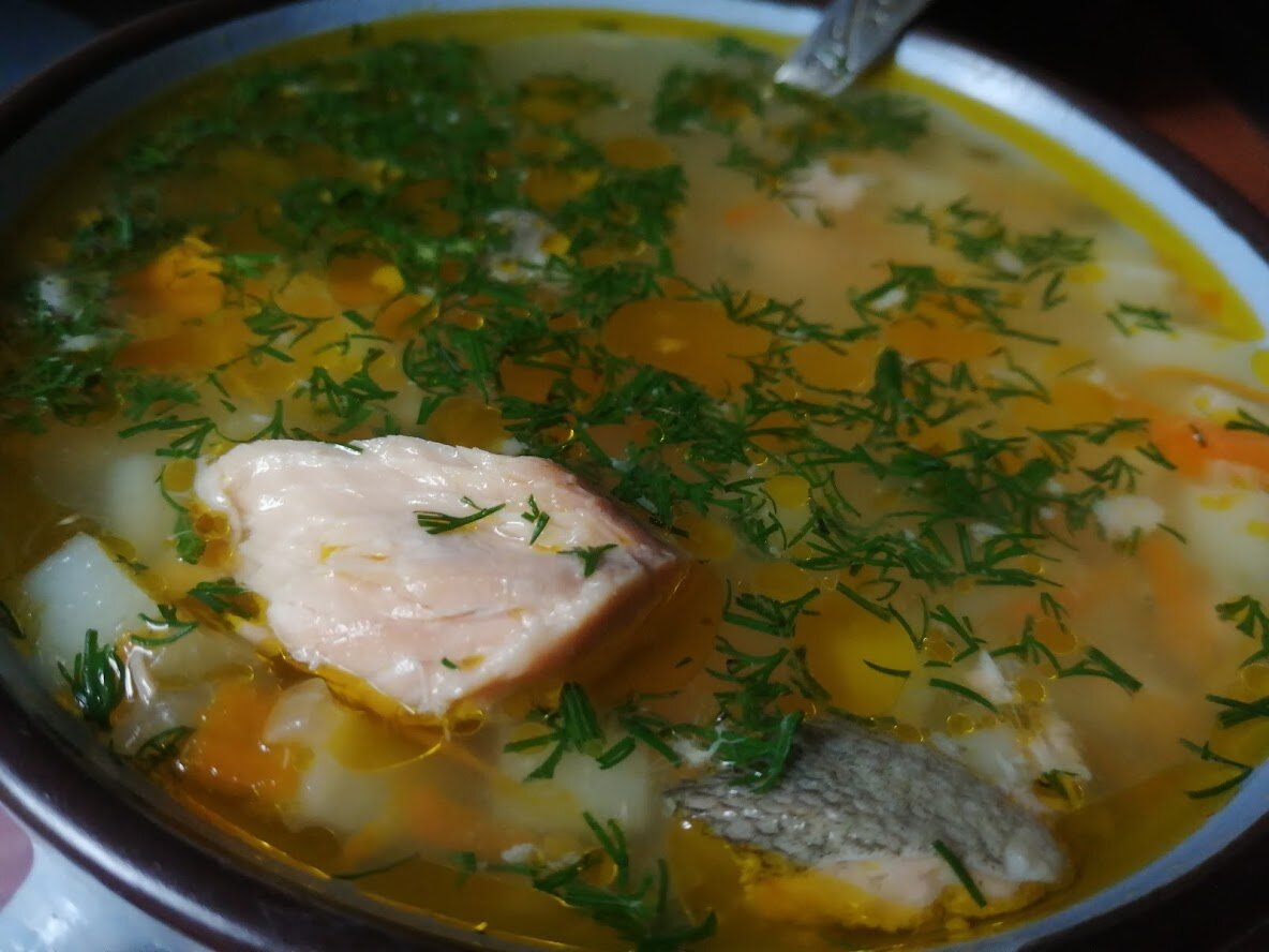 Финский суп с лососем и сливками: рецепт. Вместо ухи и супа из консервов