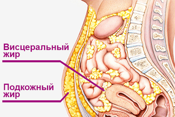 Профилактика заболеваний