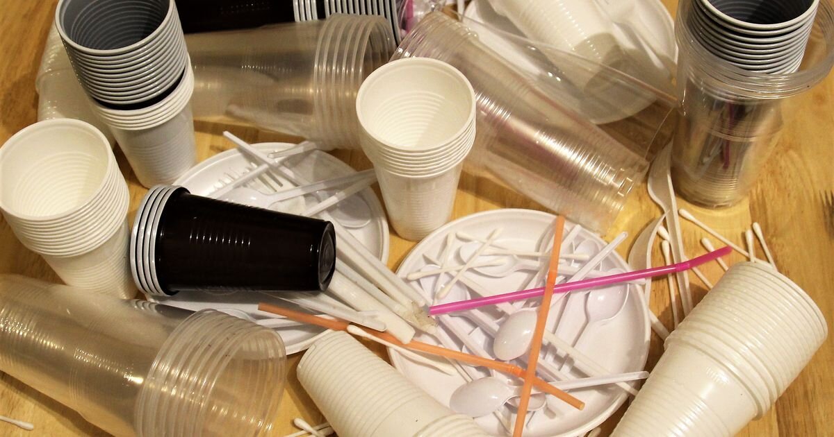 Фото с сервиса "Яндекс Картинки"