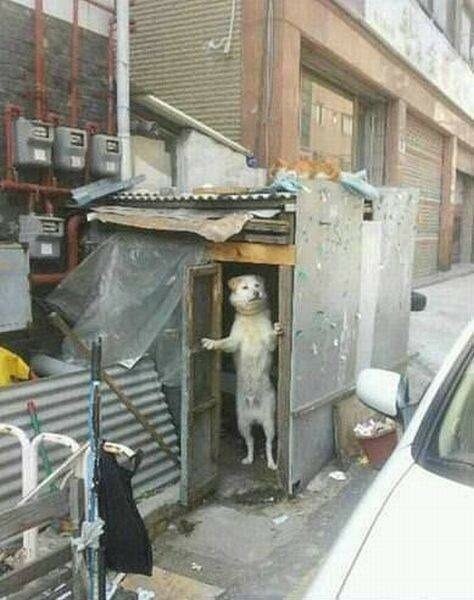 Фото из Яндекс-подборок