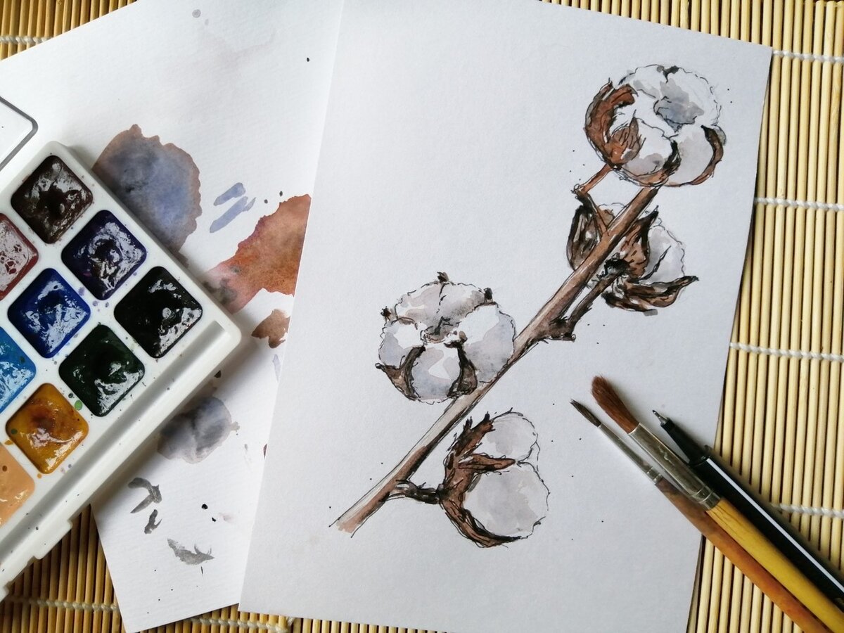 Веточка белого хлопка, нарисованная цветными красками (рисунок и фото автора)