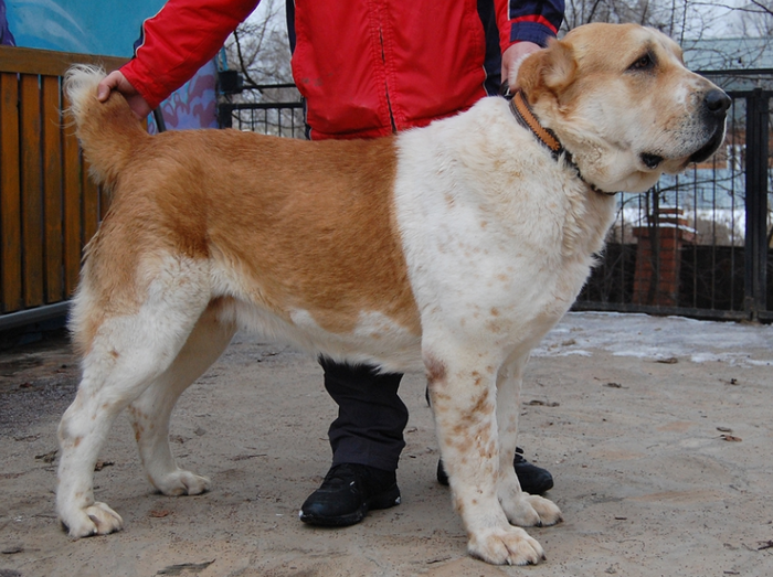 фото с просторов интернета