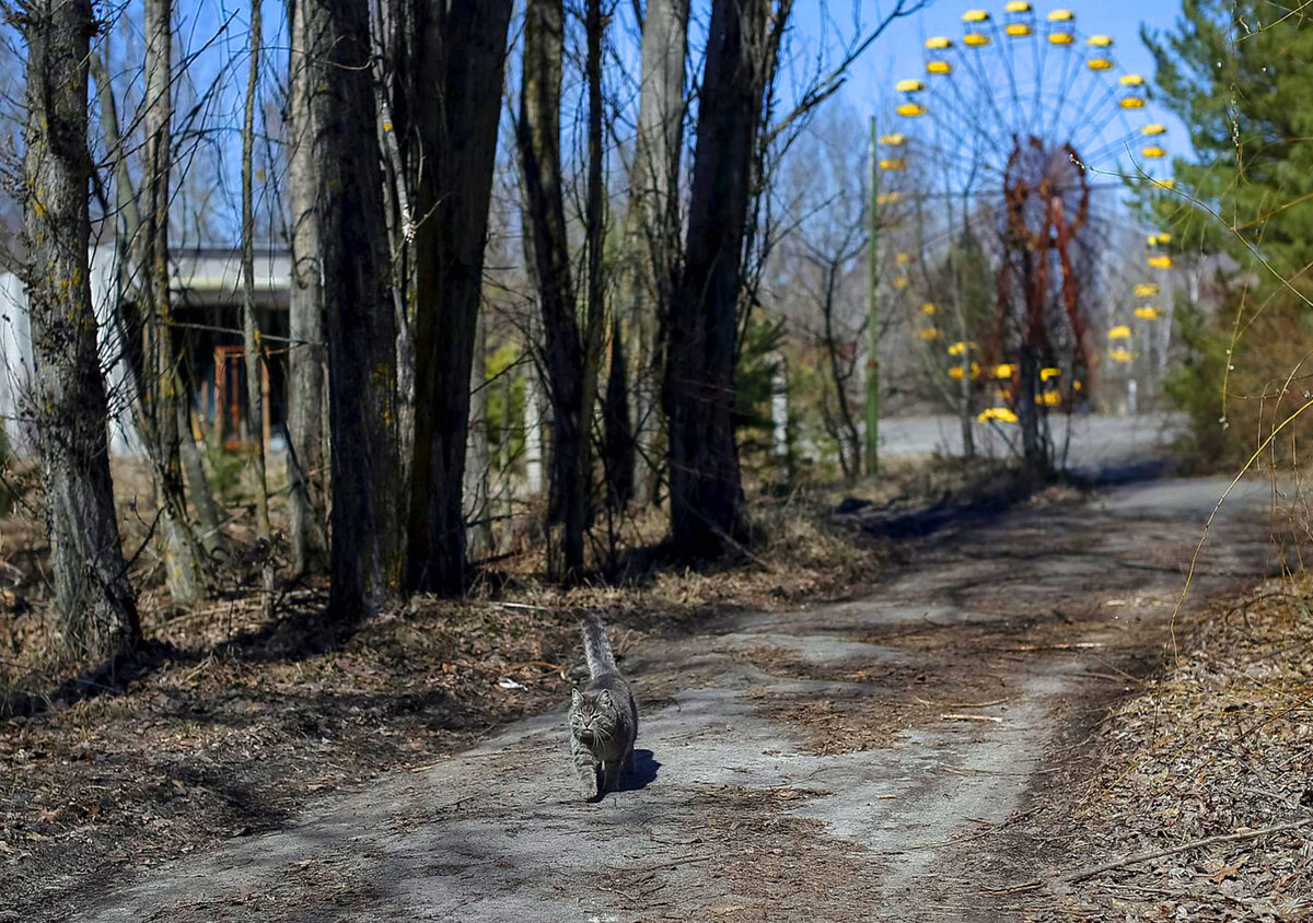 Чернобыль и припять фото