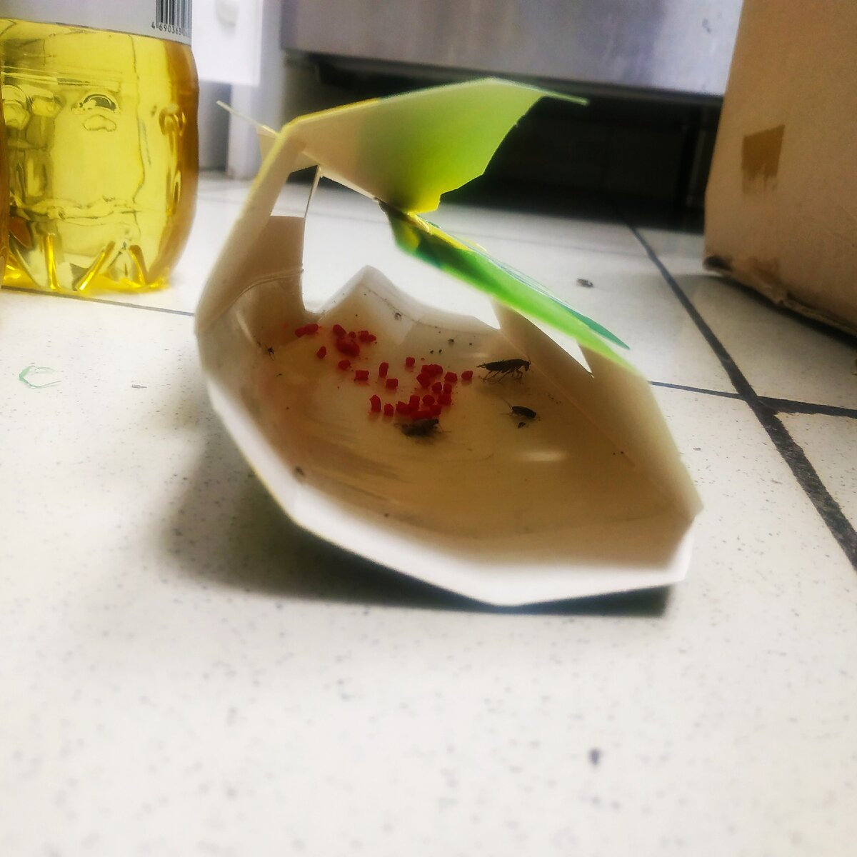 Звонок для вас бесплатно. 8 800 301 7079