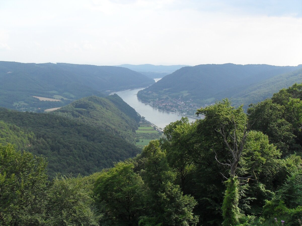 Природа долины Вахау