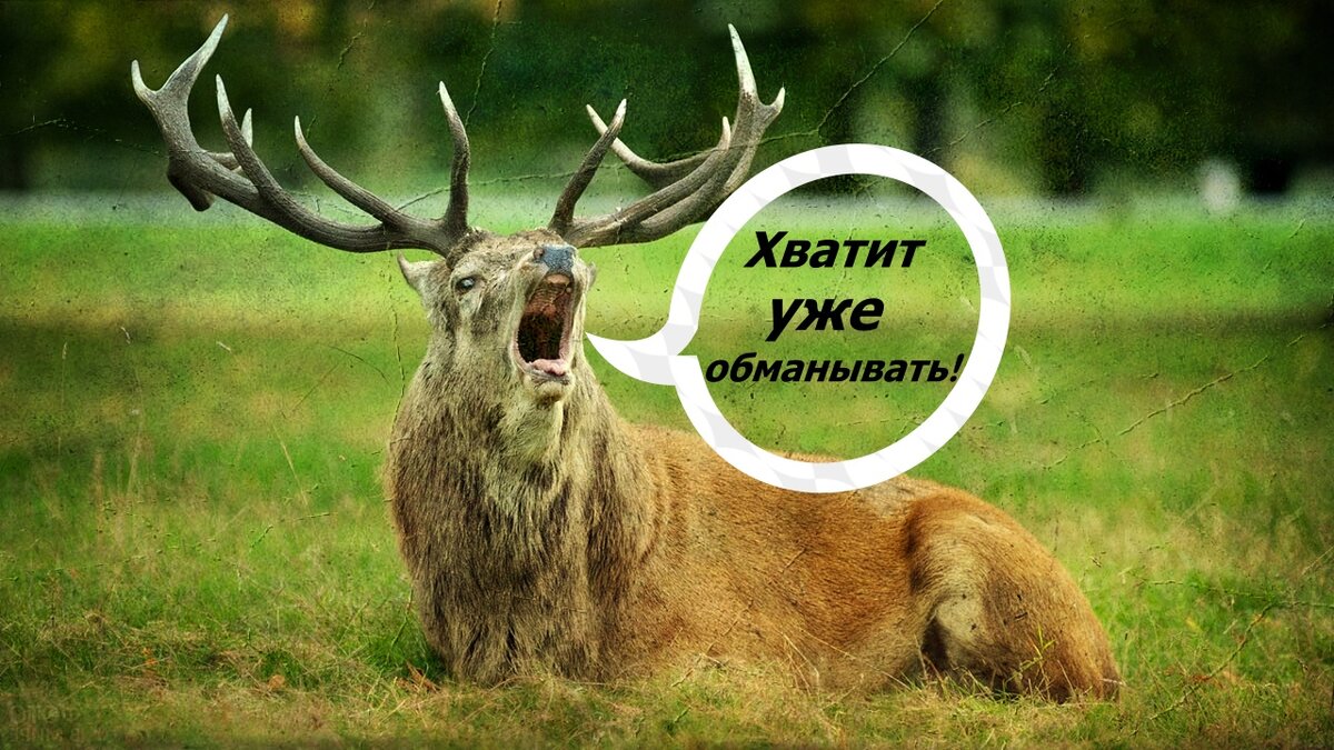 Я не пойму продавцы, в тандеме с банками, действительно нас ассоциируют в таком виде. 