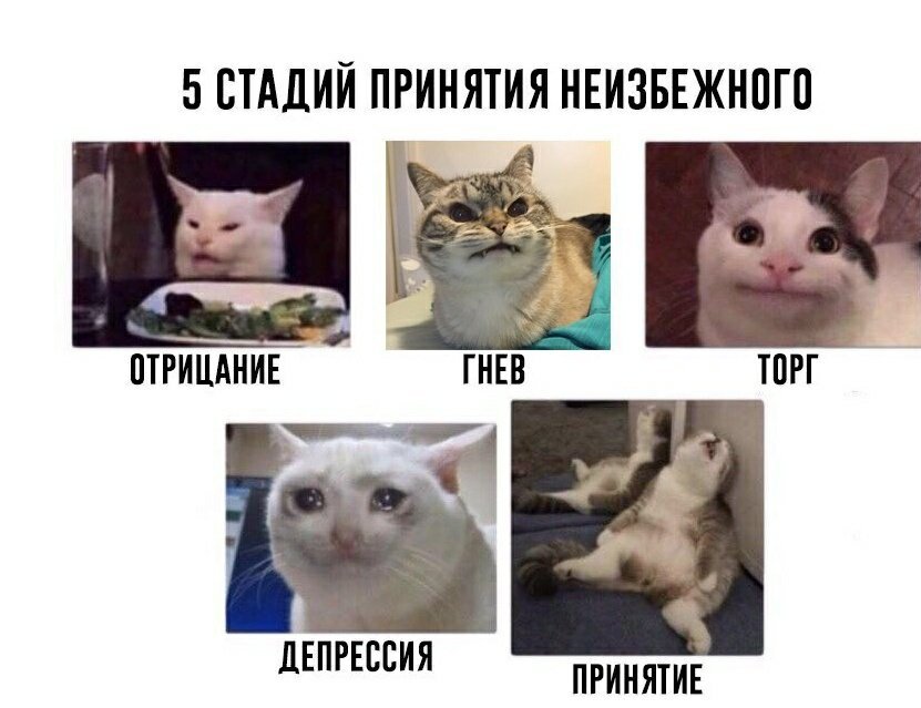 Два раза “ку”, мои малиновые штаны. Знаете, тема, о которой мы сегодня поговорим, не то, чтобы относится к вещам совсем никому неизвестным. Напротив. “5 стадий принятия горя”, можно отнести к психологическому мейнстриму. Но я, всё равно, об этом хочу поговорить. Потому что политика “все об этом знают, а потому говорить я об этом не буду, зато буду регулярно ссылаться” сама по себе мерзкая. Так что, кафедра Бакланологии и Прикладной Долбодятлистики Образовательная снова в деле.