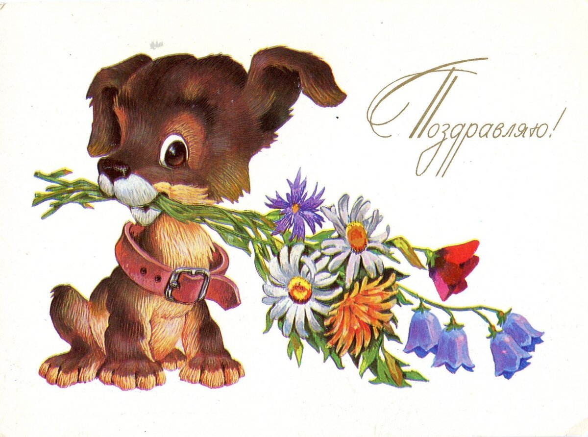 Советские открытки с зайцем