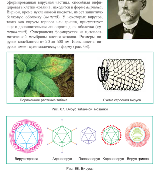 Учебник по биологии за 11 класс