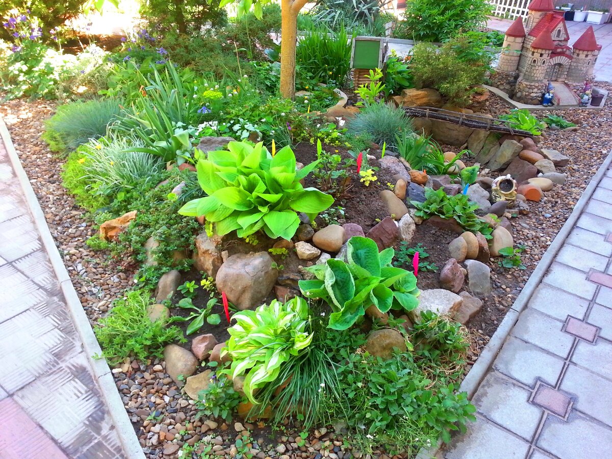 Так выглядит моя горка сегодня, 13 мая 2020 год (фото автора)