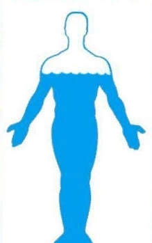 Человек состоит схема. Человек на 70 процентов состоит из воды. Человек мостоми из воды. Чедоанк состоит из воды. Тело человека состоит из воды.