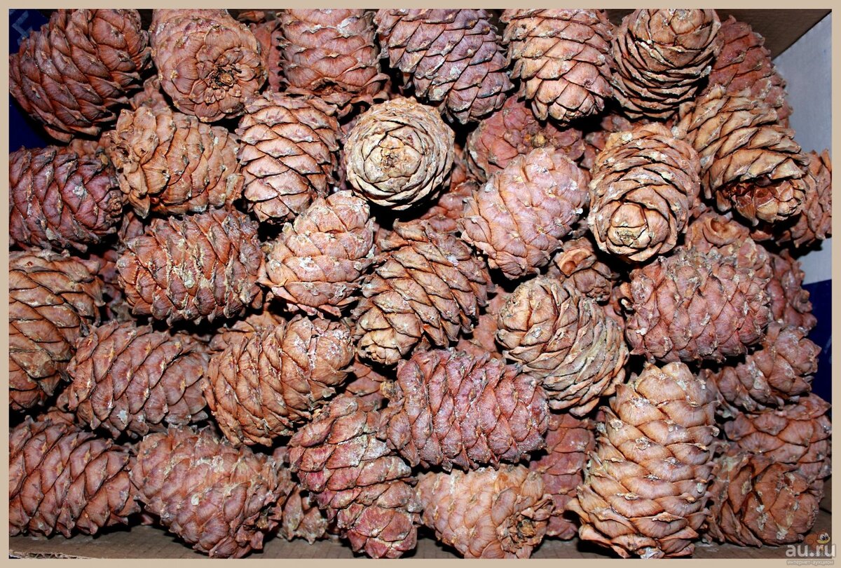 Обида - одна из самых разрушительных эмоций