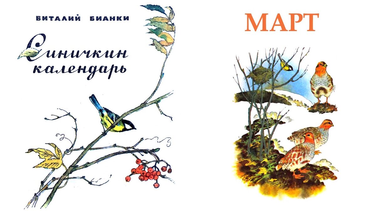 Бианки слушать. Синичкин календарь Бианки март. Иллюстрации к книге Бианки Синичкин календарь. 1. В.Бианки «Синичкин календарь». Бианки, Виталий Валентинович Синичкин календарь