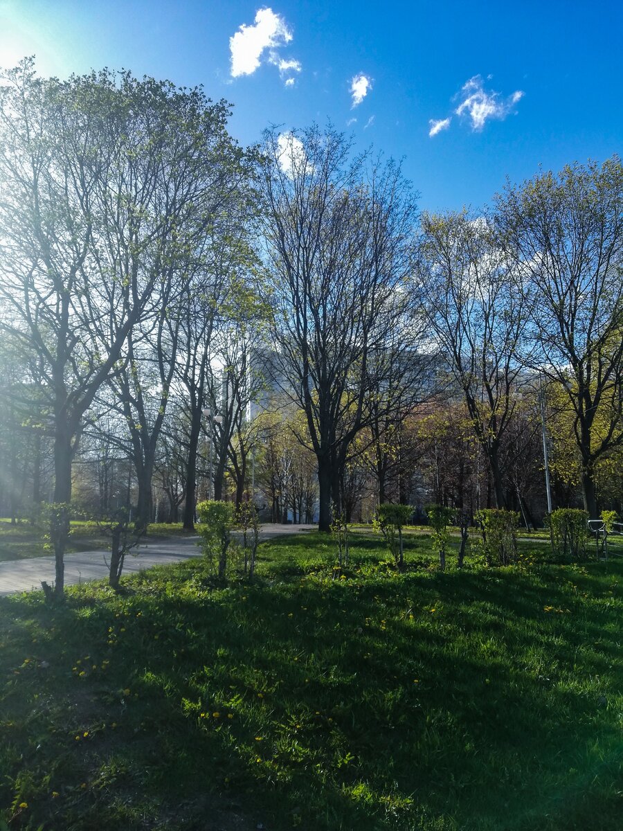 Фото автора