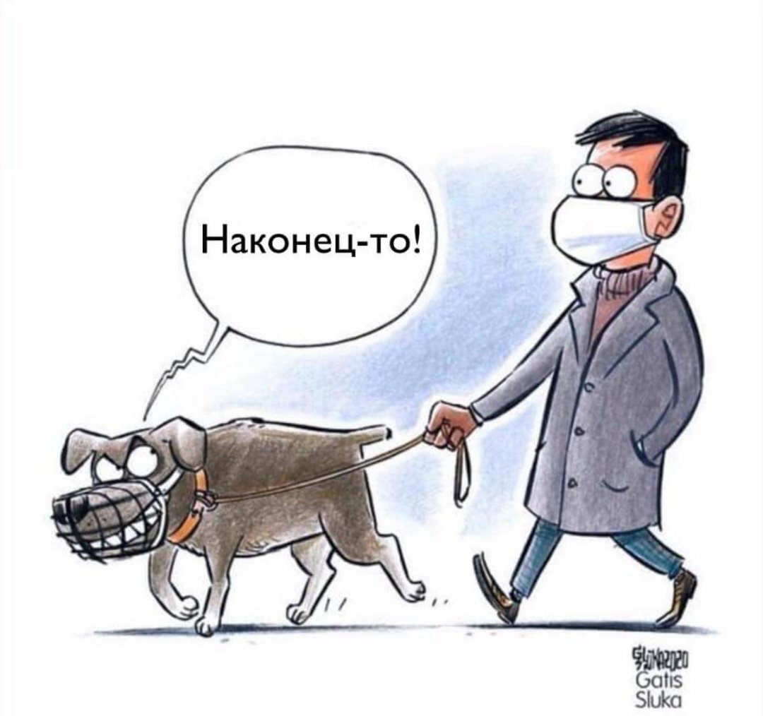 Источник изображения - Яндекс.Картинки
