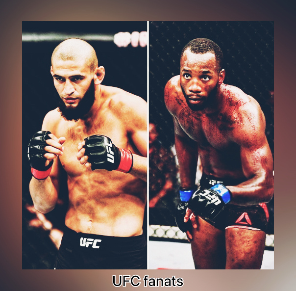 Хамзат Чимаев vs Леоном Эдвардсон