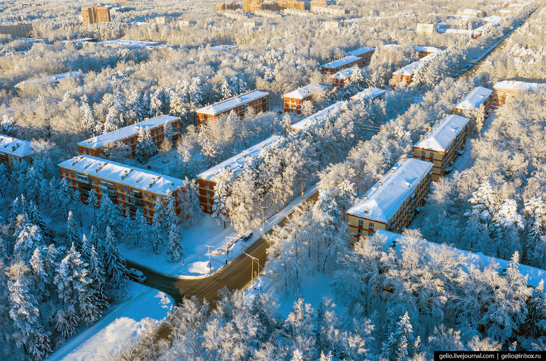 Новосибирск городок Академ. Академгородок Новосибирск зима. Академгородок Новосибирск зимой. Академ гнорродо Новосиб. Новосибирский городок