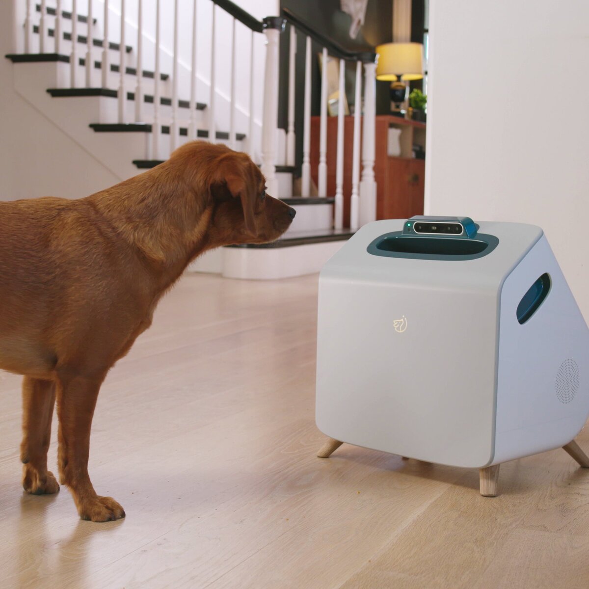 фото с сайта https://joincompanion.com