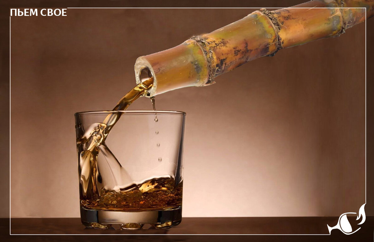 Так упрощённо выглядит процесс получения рома из сахарного тростника