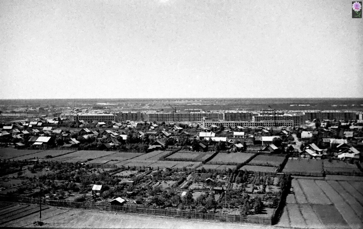 Фото Леонида Николаева. Историческая Губа?