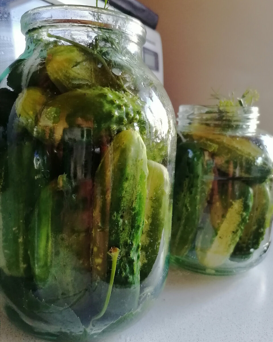 Хрустящие огурчики на зиму