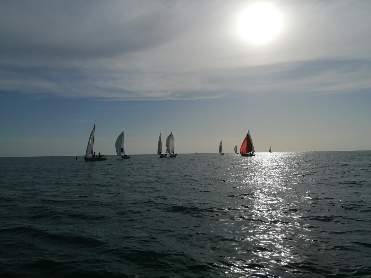 Парусная регата