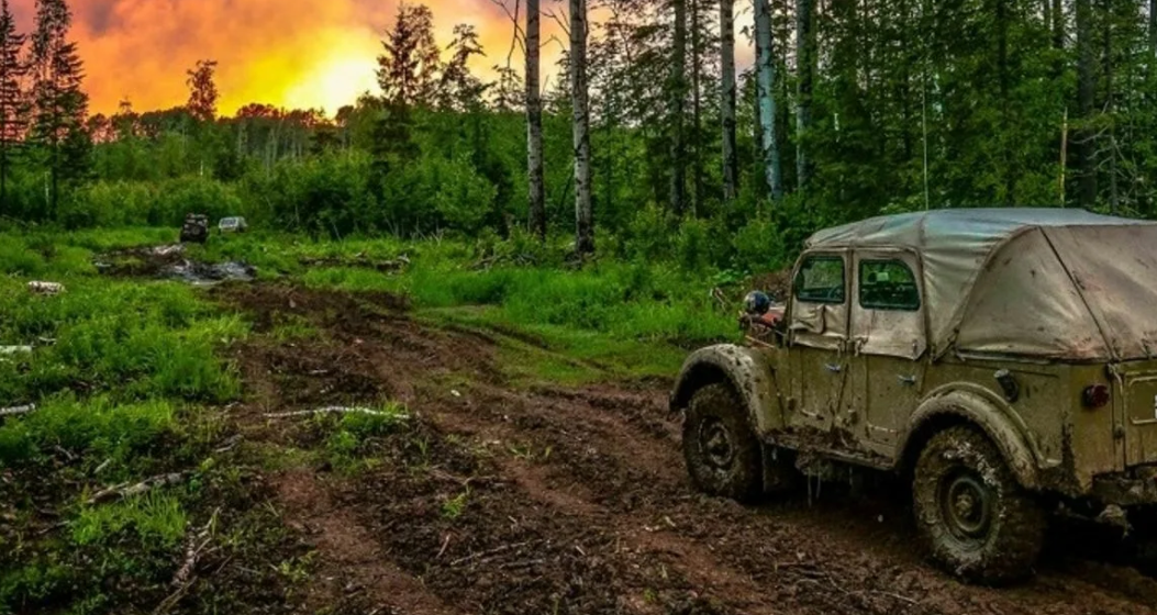carthrottle.com. Лесная дорога.