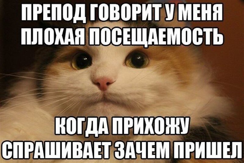 Картинка из интернета