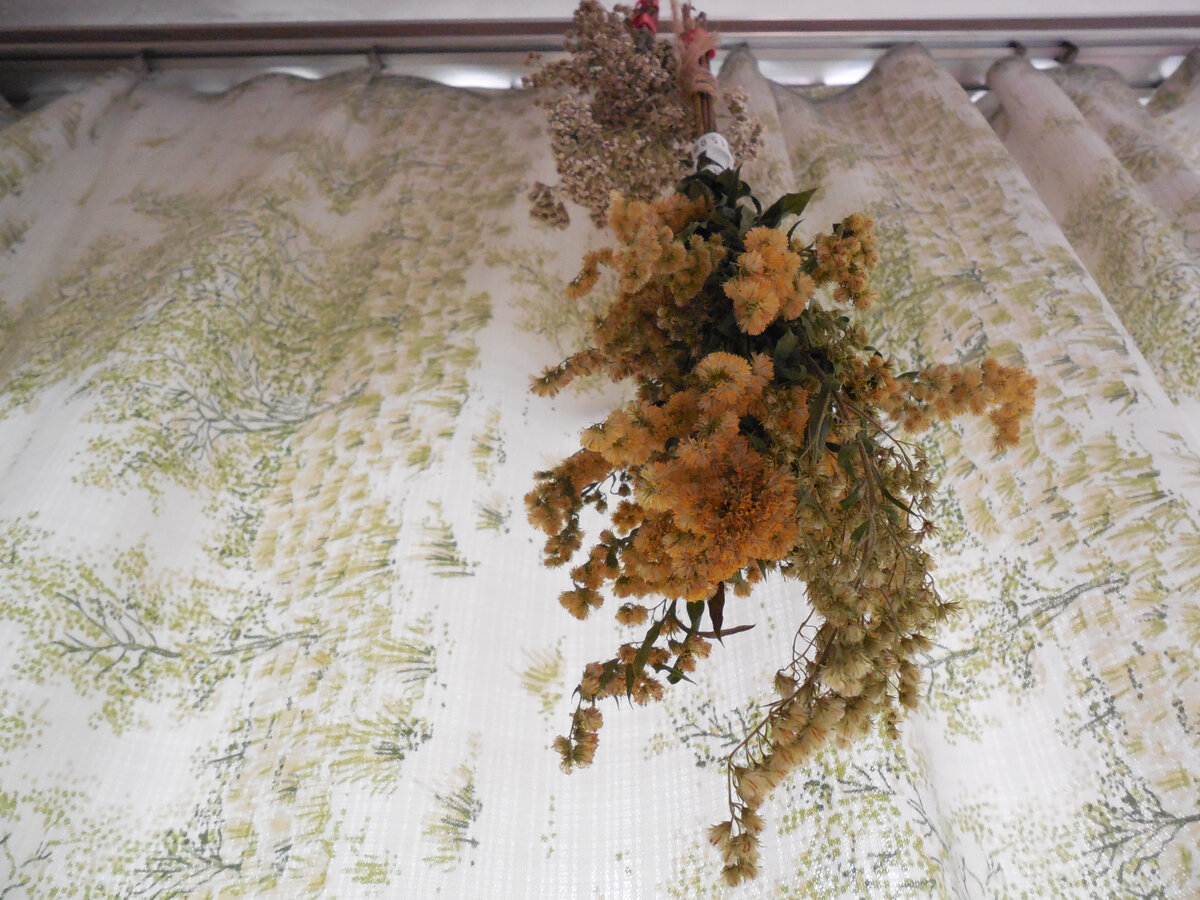 Сушка "головками" вниз, чтобы стебли остались более-менее прямыми