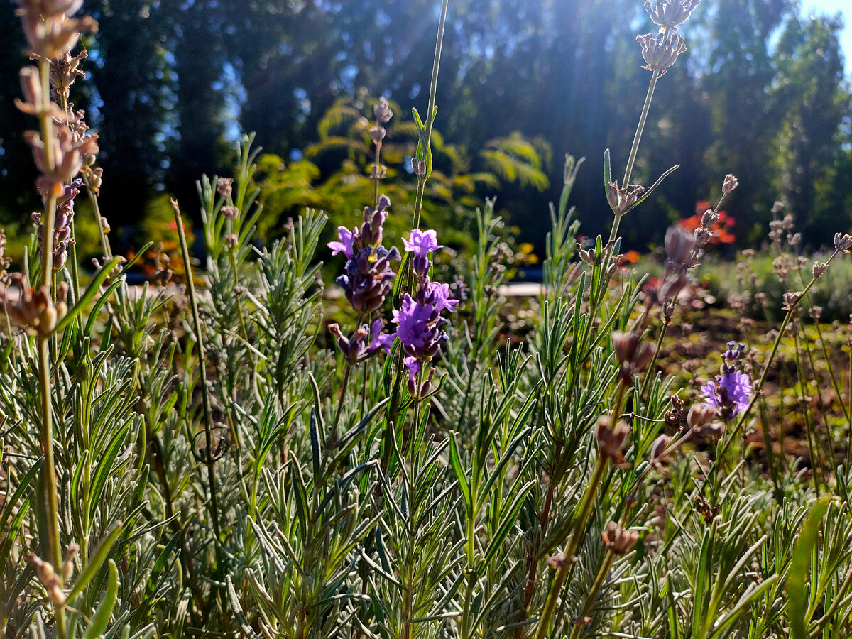 Все фото автора