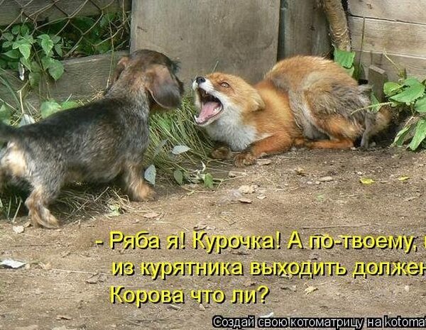 иллюстрация отсюда https://stihi.ru/2015/10/17/836