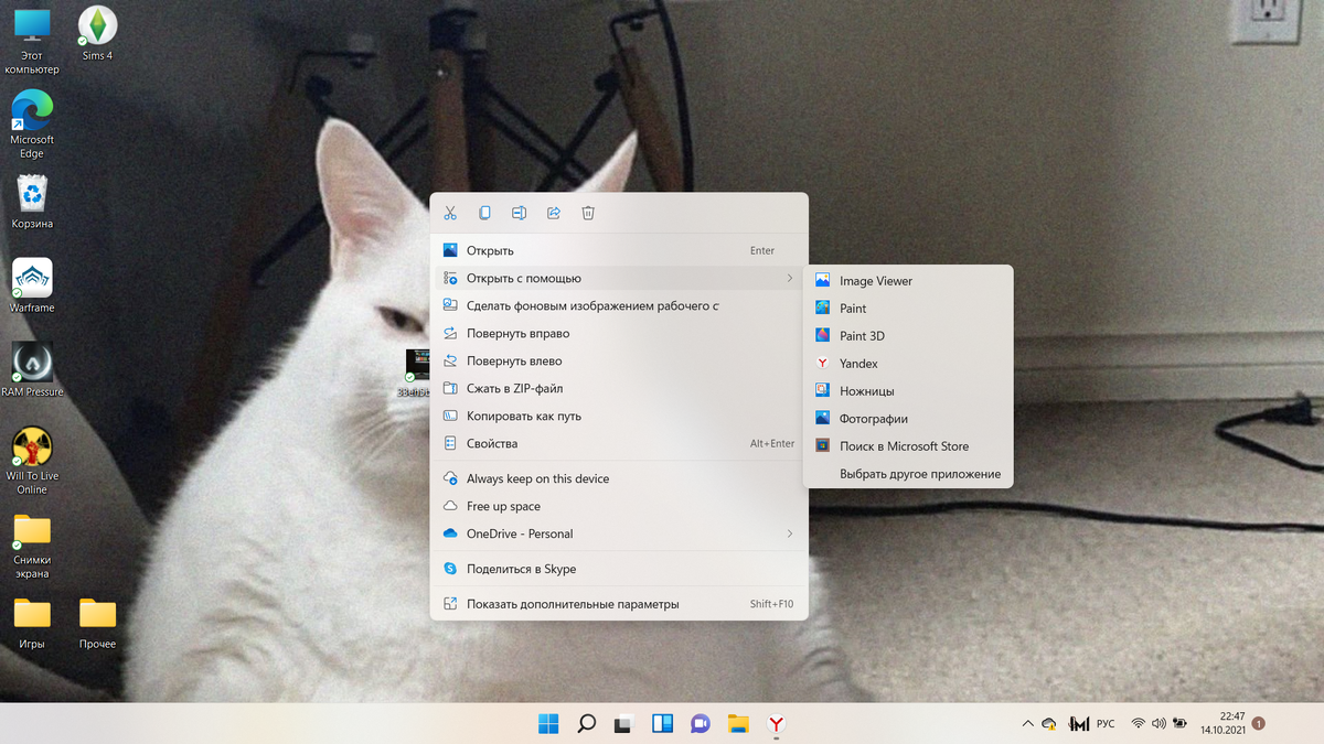 Windows 11