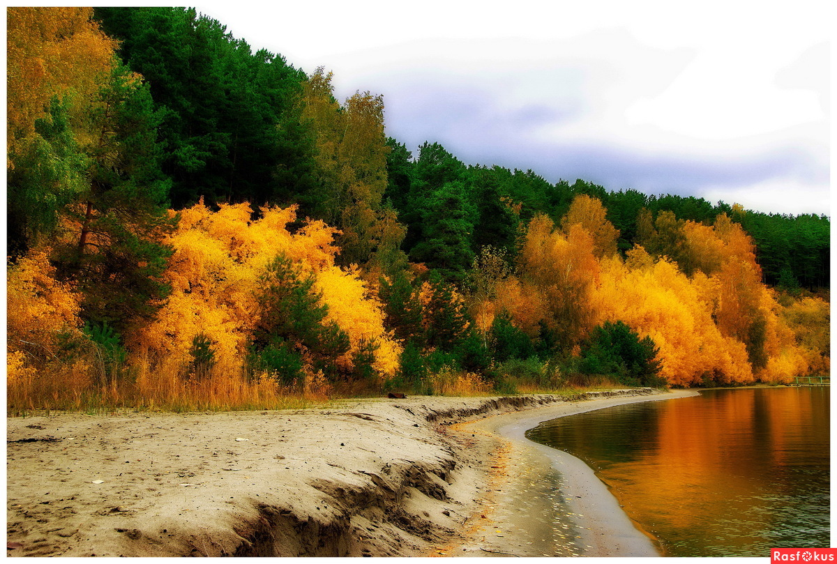 Фото: Осенний пожар.. Фотограф Григорий Филиппов. Пейзаж - Осенне, Новосибирск-   http://rasfokus.ru/images/phot...