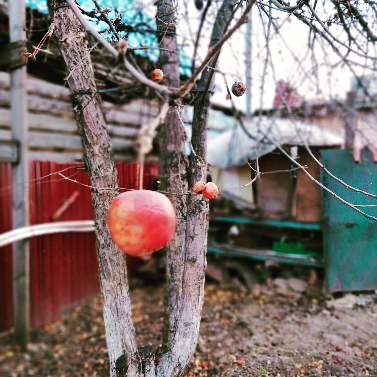 Совсем одна осталась