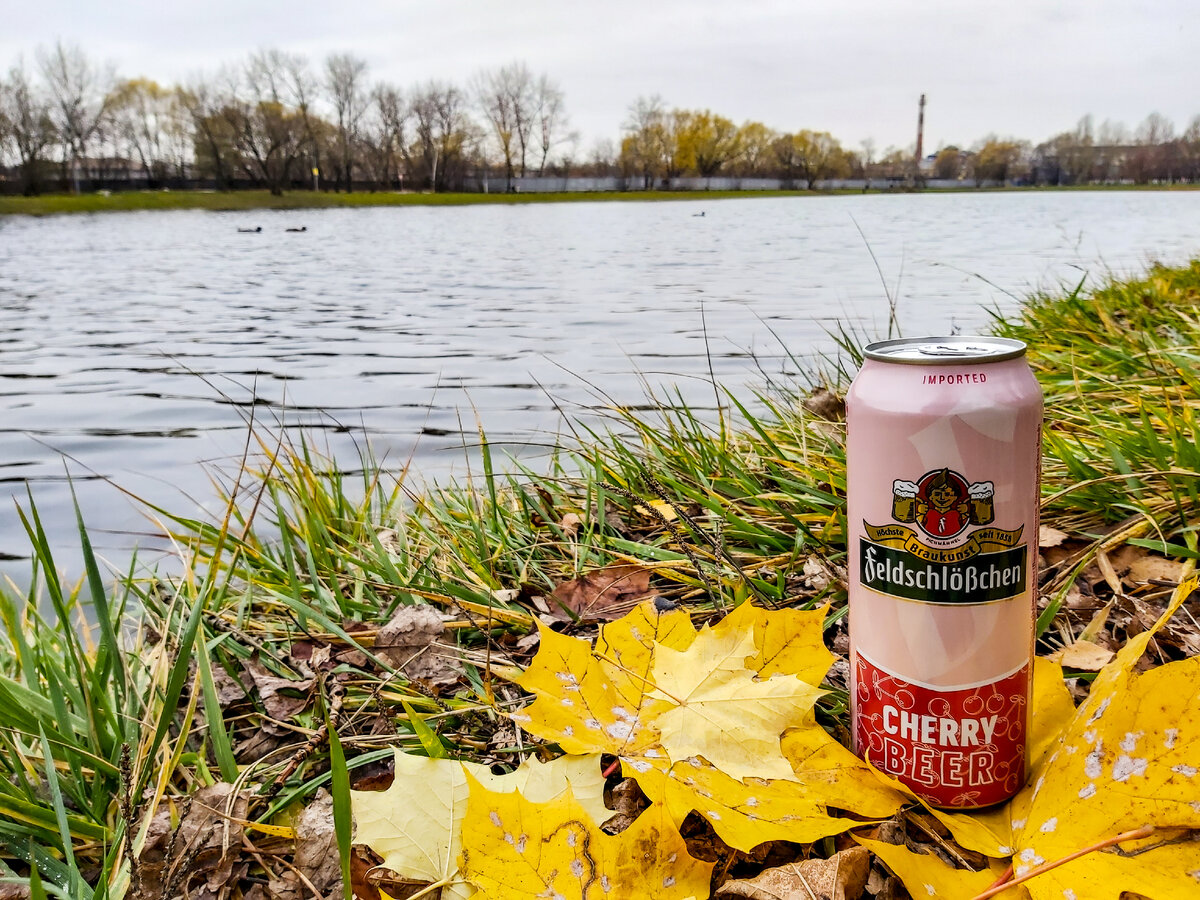 Feldschlosschen Cherry beer, фото автора