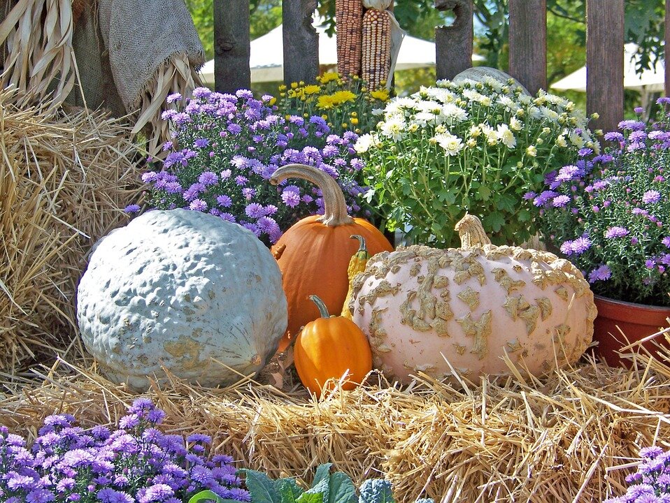 фото взято из открытых источников