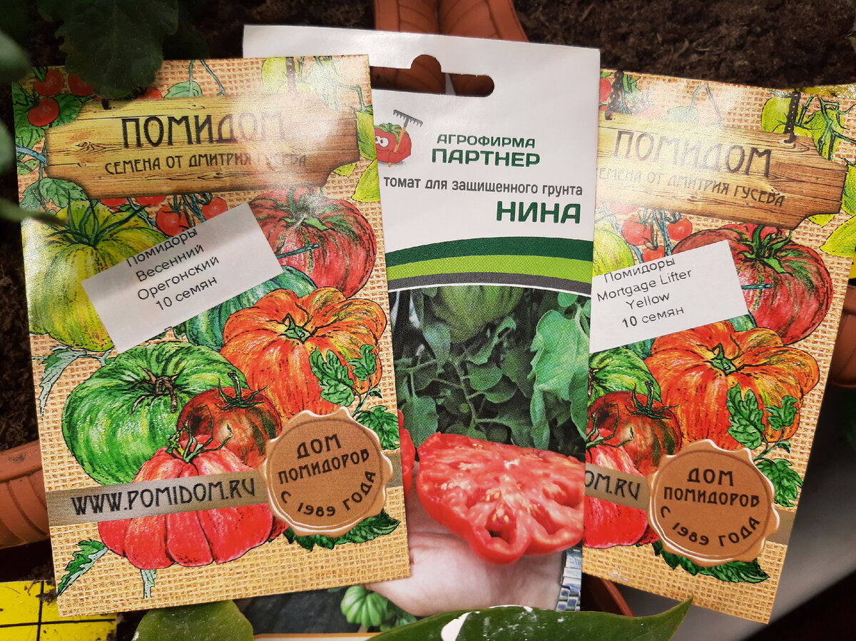 лучшие сорта томатов фирмы партнер отзывы. агрофирма партнер томаты. рассада помидор от фирмы партнер. томат черри вера. помидоры агрофирмы партнер лучшие сорта.
