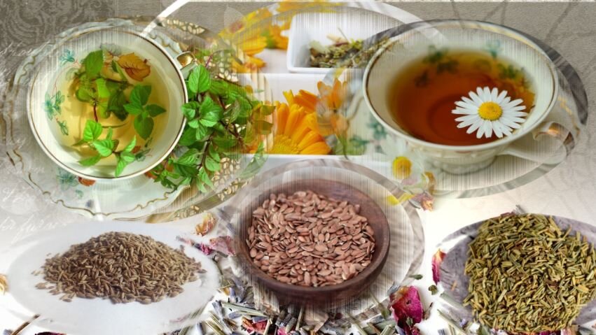 Травы или сборы берите те, которые любит ваша кожа: мята, ромашка, календула, розмарин, лаванда, лепестки роз, шалфей... Даже отвар льняного семени используют. Семена фенхеля тоже в ход идут.